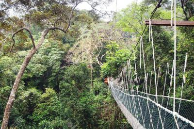 Taman Negara