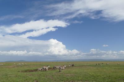 Mara National Reserve