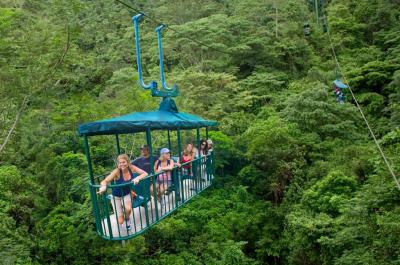 Rainforest Aerial Tram