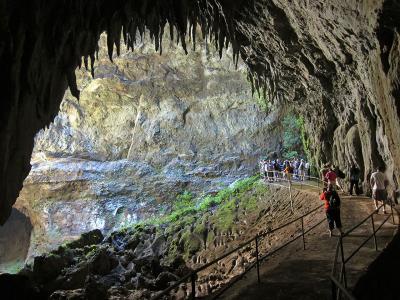 Parque Nacional de las Cavernas del Río Camuy – “Camuy River Cave Park