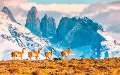 Torres del Paine