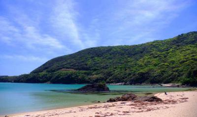 Tsushima Island