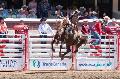 Calgary Stampede 2022: The Greatest Rodeo show in the world!