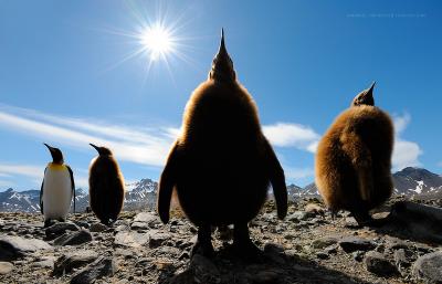 Antarctica Photography Expedition 2022