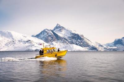 Ice Fiord Cruise