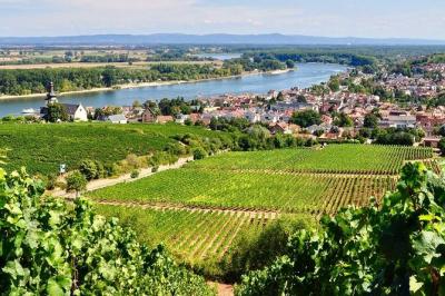 Personal wine tours in the heart of Germany from Frankfurt region