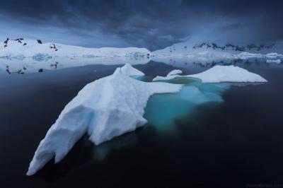22 Day Antarctica Photography Expedition